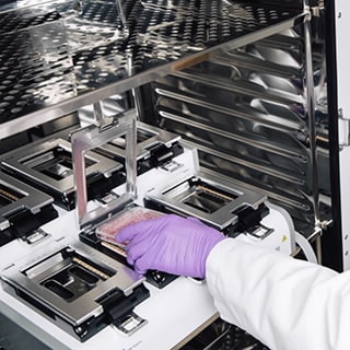 xCELLigence RTCA MP - Multiple Plates